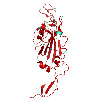 Structural model of SARS-CoV-2 S1 (RBD) Omicron B.1.1.529, GFP/His-Tag