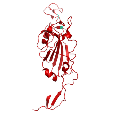 Structural model of SARS-CoV-2 S1 (RBD) Lambda C.37 (Peru), GFP/His-Tag