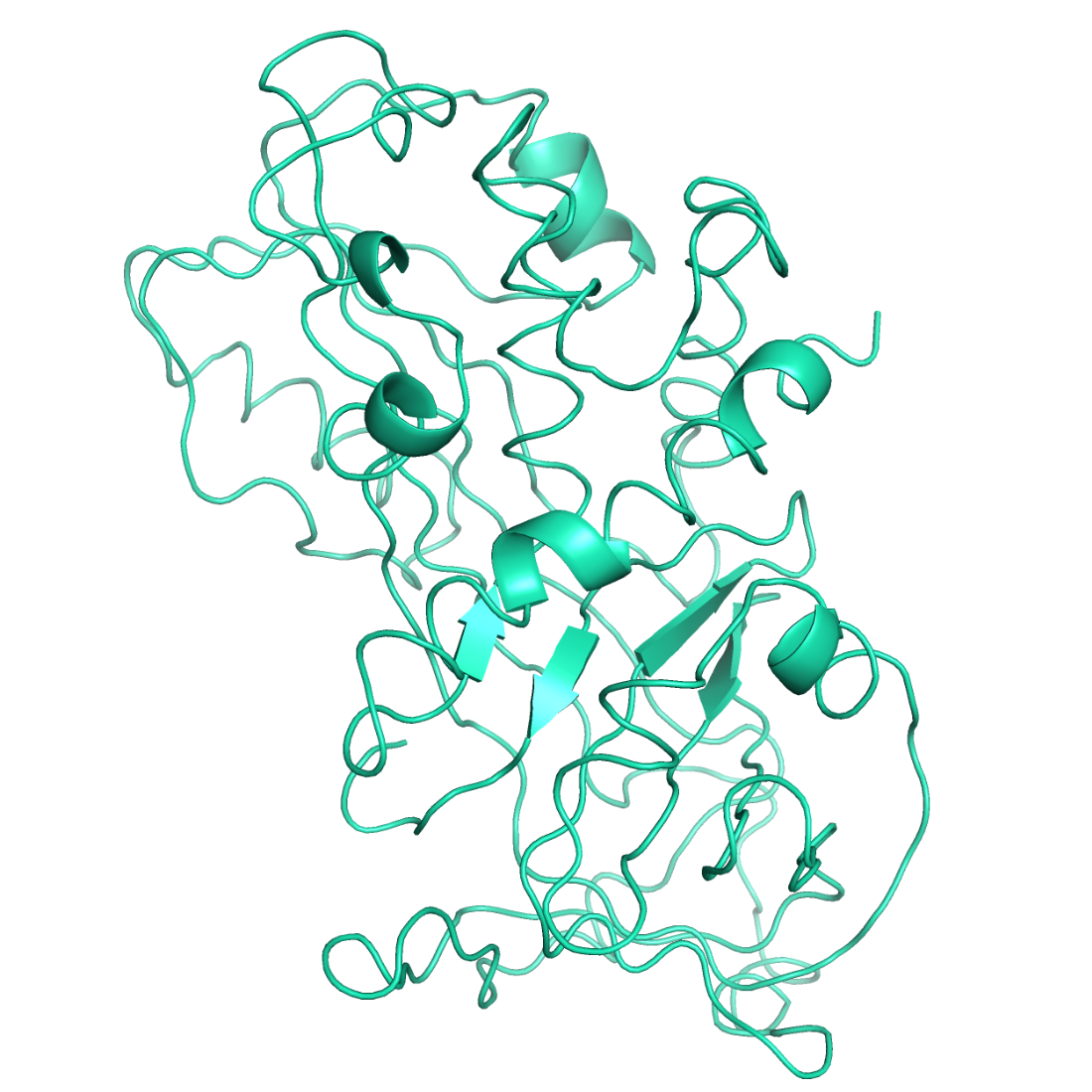 Alpha 1 antitrypsin structural model 3D graphic