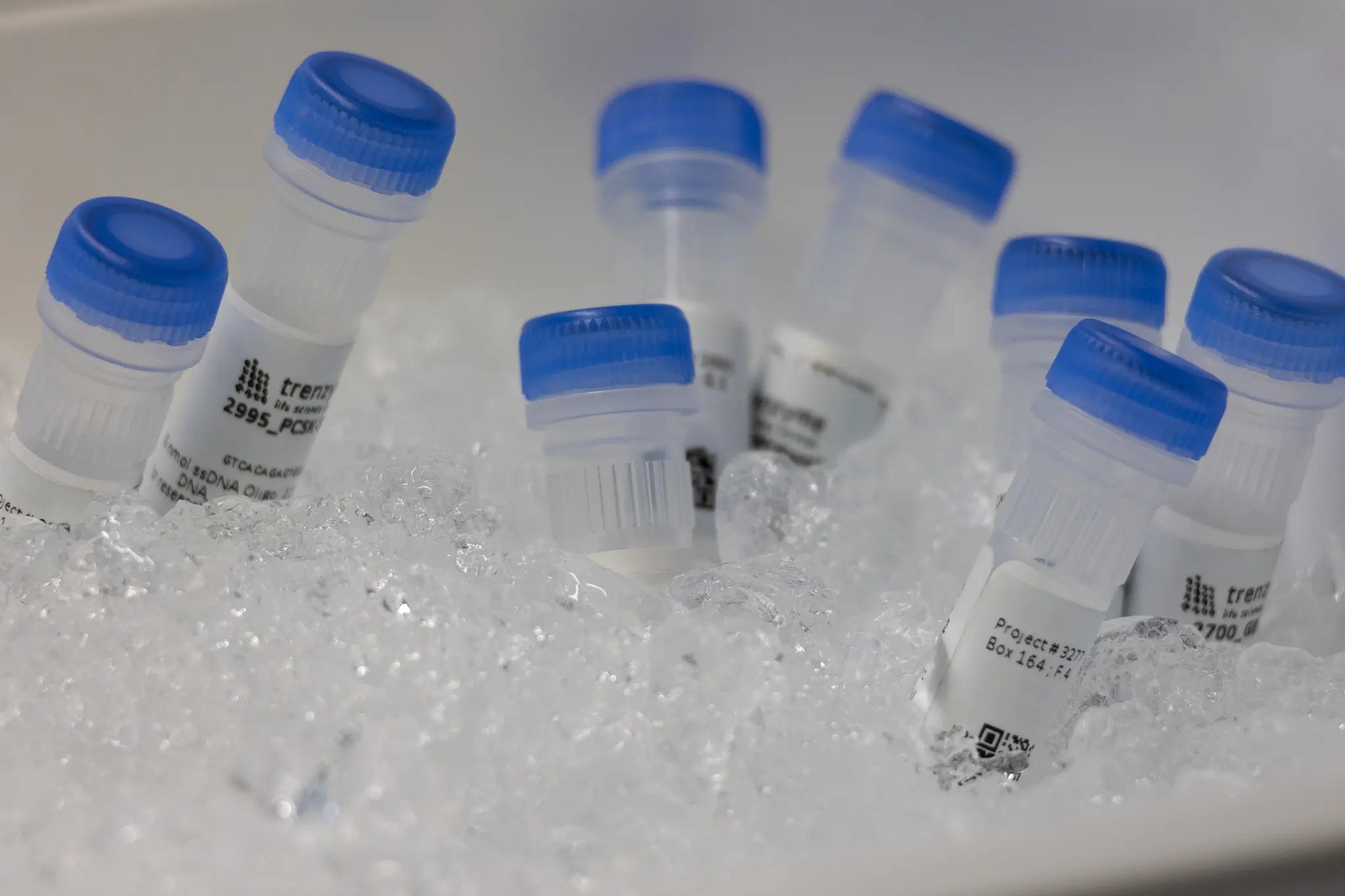 Fast Access to High Quality Proteins & Cell Lines