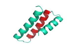 African swine fever virus (ASFV) structure model - SwissModel of UniProt Q8V1E7, AA 137-193
