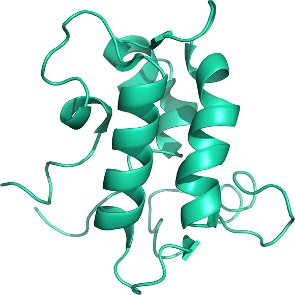 Structural model 3D graphic of Lanmodulin lanM