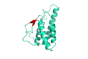 Structure model 3D graphic of human Interleukin IL-4 His-Tag