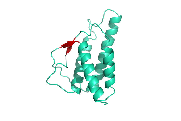 Structure model 3D graphic of human Interleukin IL-4 His-Tag