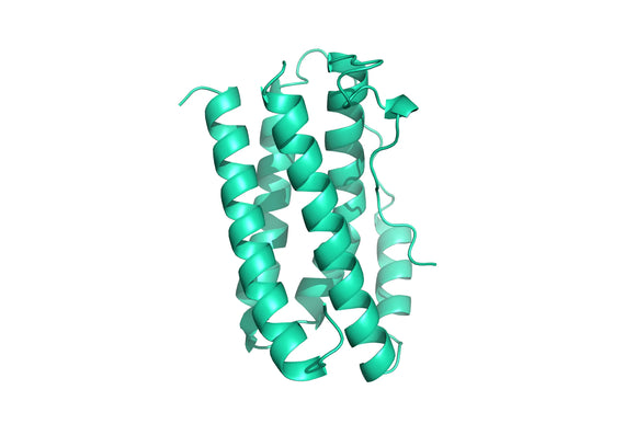 Structure model 3D graphic of human Interleukin IL-6 His-Tag