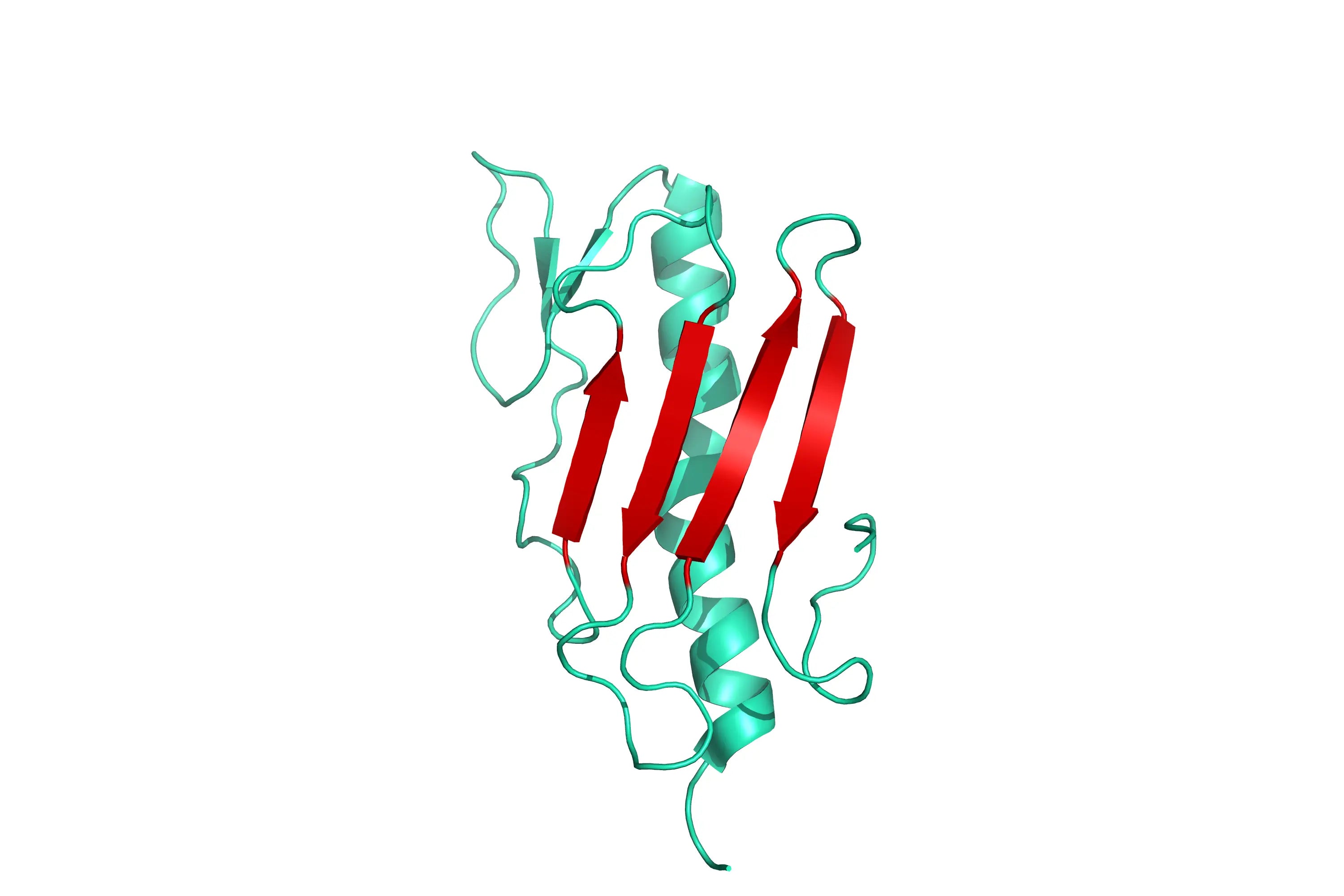 Structur model 3D graphic of Fimbrial Protein (pilA) His-Tag strain PAK