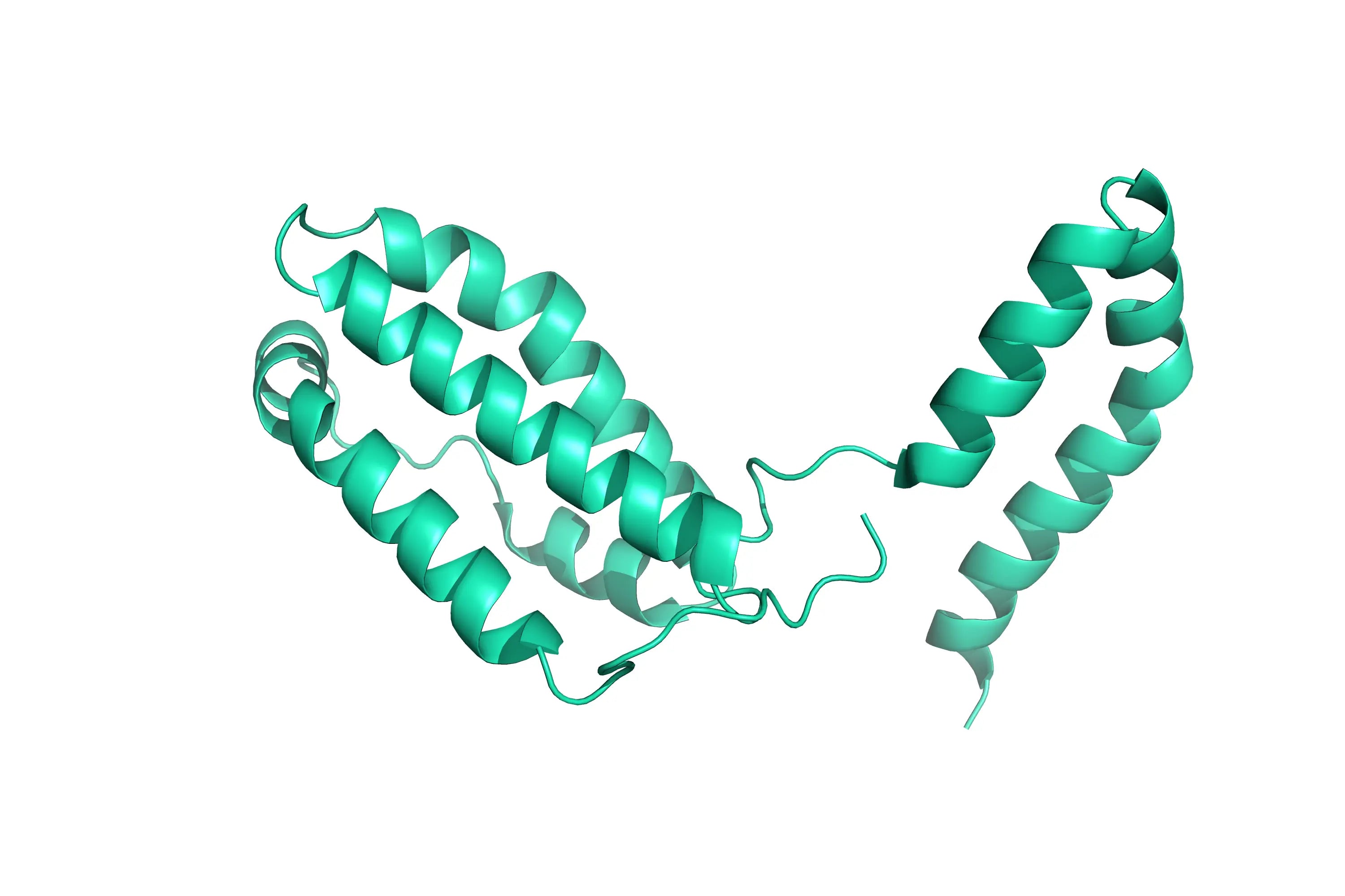 Structure model 3D graphic of human IL10