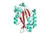 Structur model 3D graphic of Fimbrial Protein (pilA) His-tag strain Pa110594