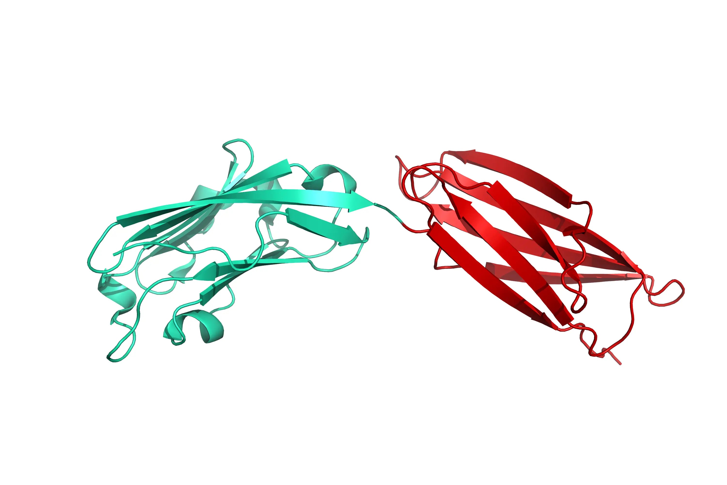 Structure model 3D graphic of human PD-L1, His-Tag