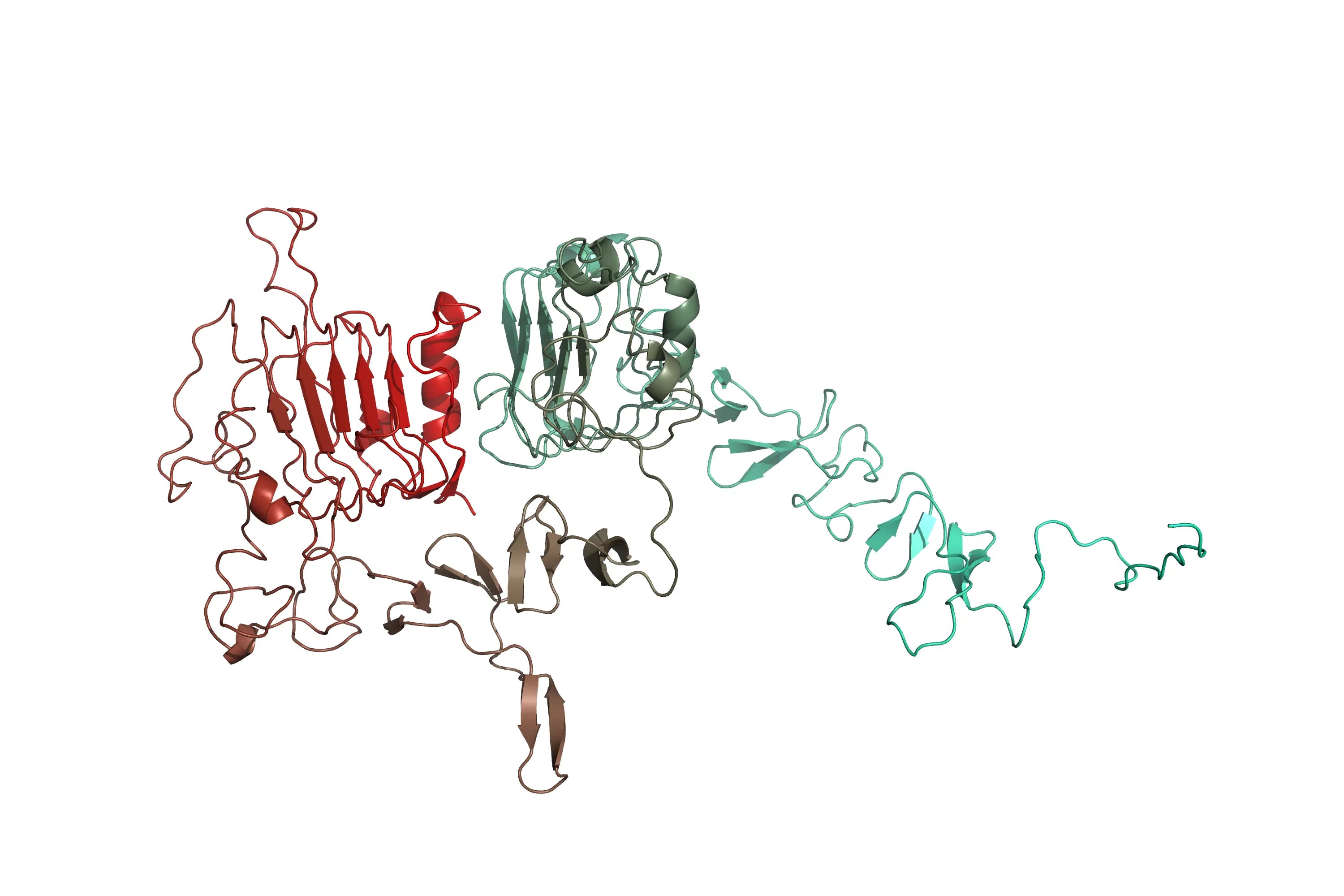 Structure model 3D graphic of HER2 ErbB2