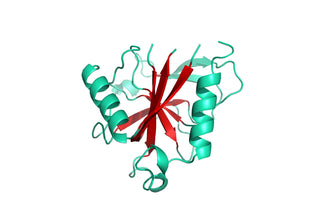 Structure Model 3D Graphic for Pyrophosphatase Inorganic MBP His-Tag