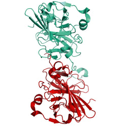 Structur model 3D graphic of greenTEV and blueTEV