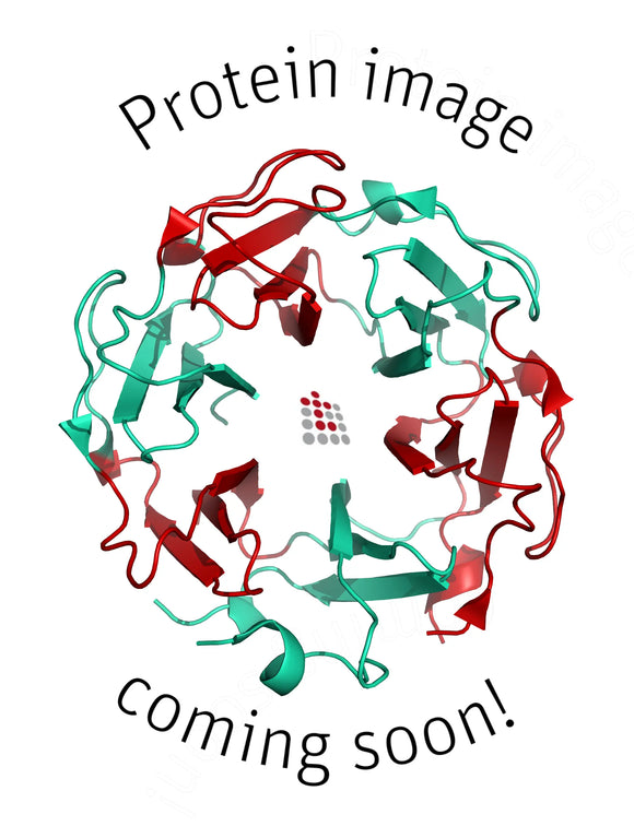 placeholder wildcard protein image coming soon