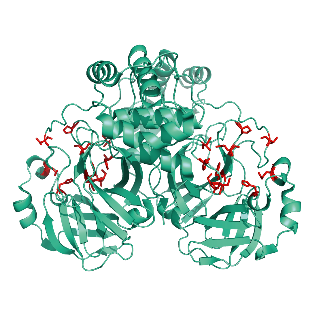 Structural model of 3CL-Mpro Protein, Tag-free