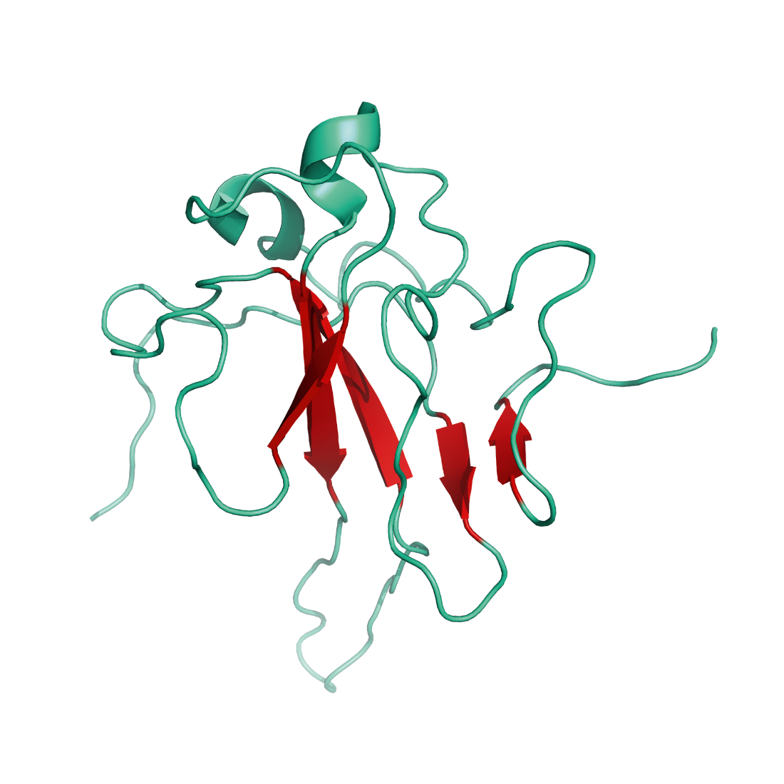 Structural model of Nucleocapsid protein, His-Tag