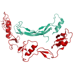 Structural model of Follistatin related protein 3