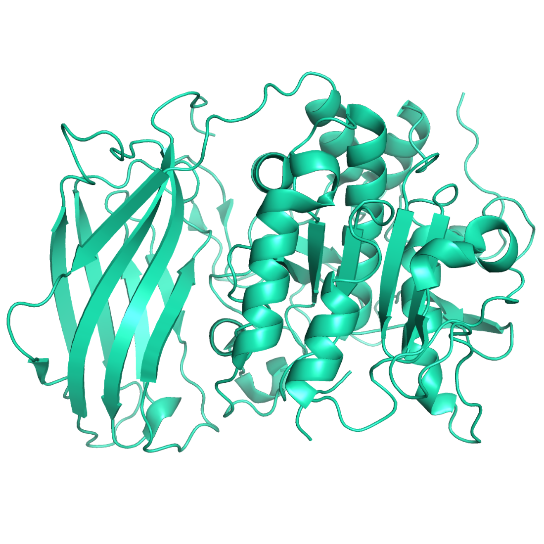 Furin structural model trenzyme