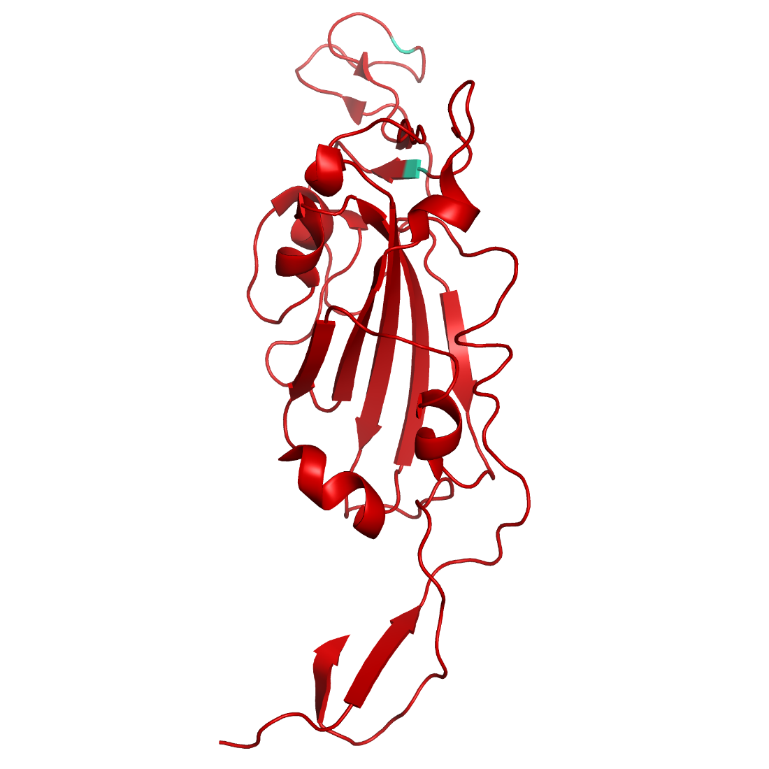 Structural model of SARS-CoV-2 S1 (RBD) Kappa, B.1.617.1 (India), GFP/His-Tag (cleavable)