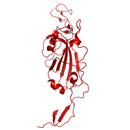 Structural model of SARS-CoV-2 S1 (RBD) Delta B.1.617.2 (India), GFP/His-Tag
