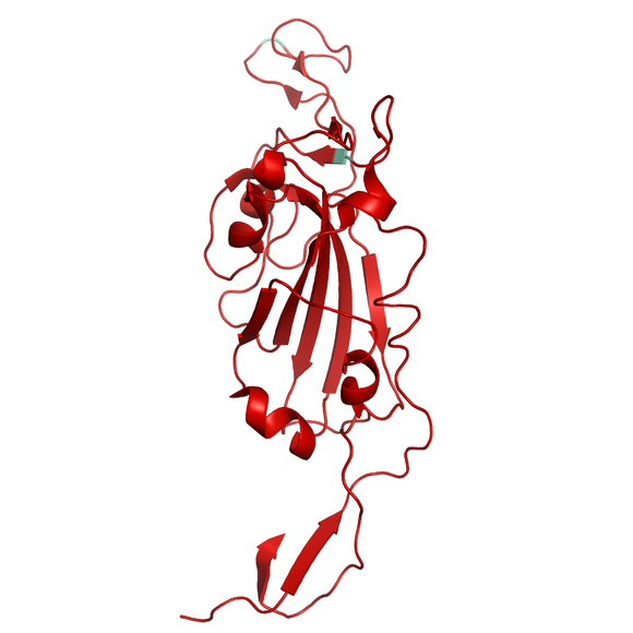Structural model of SARS-CoV-2 S1 (RBD) Delta B.1.617.2 (India), GFP/His-Tag