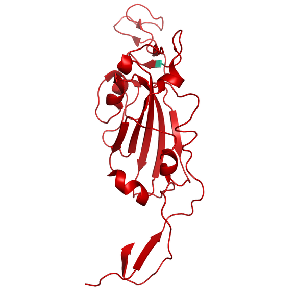 Structural model of SARS-CoV-2 S1 (RBD) Epsilon, B.1.429 (California/USA), GFP/His-Tag