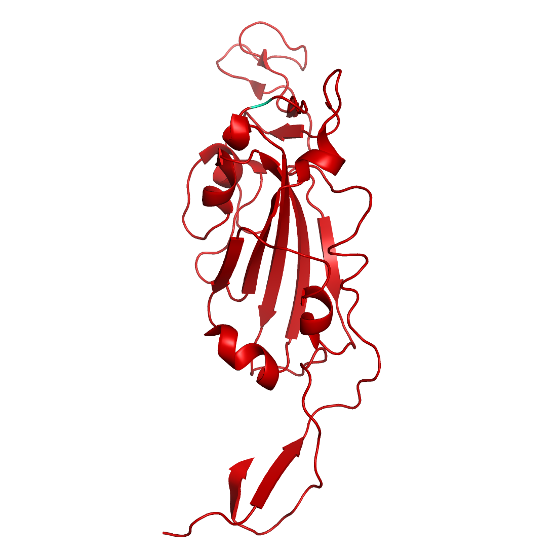 Structural model of SARS-CoV-2 S1 (RBD) Alpha, B.1.1.7 (U.K.)