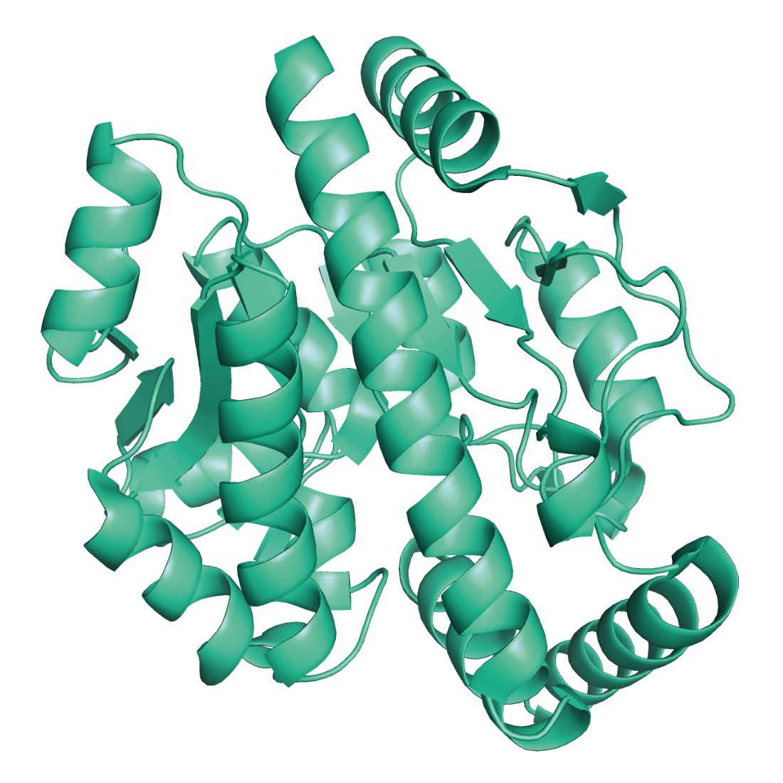 glycosidase illustration trenzyme