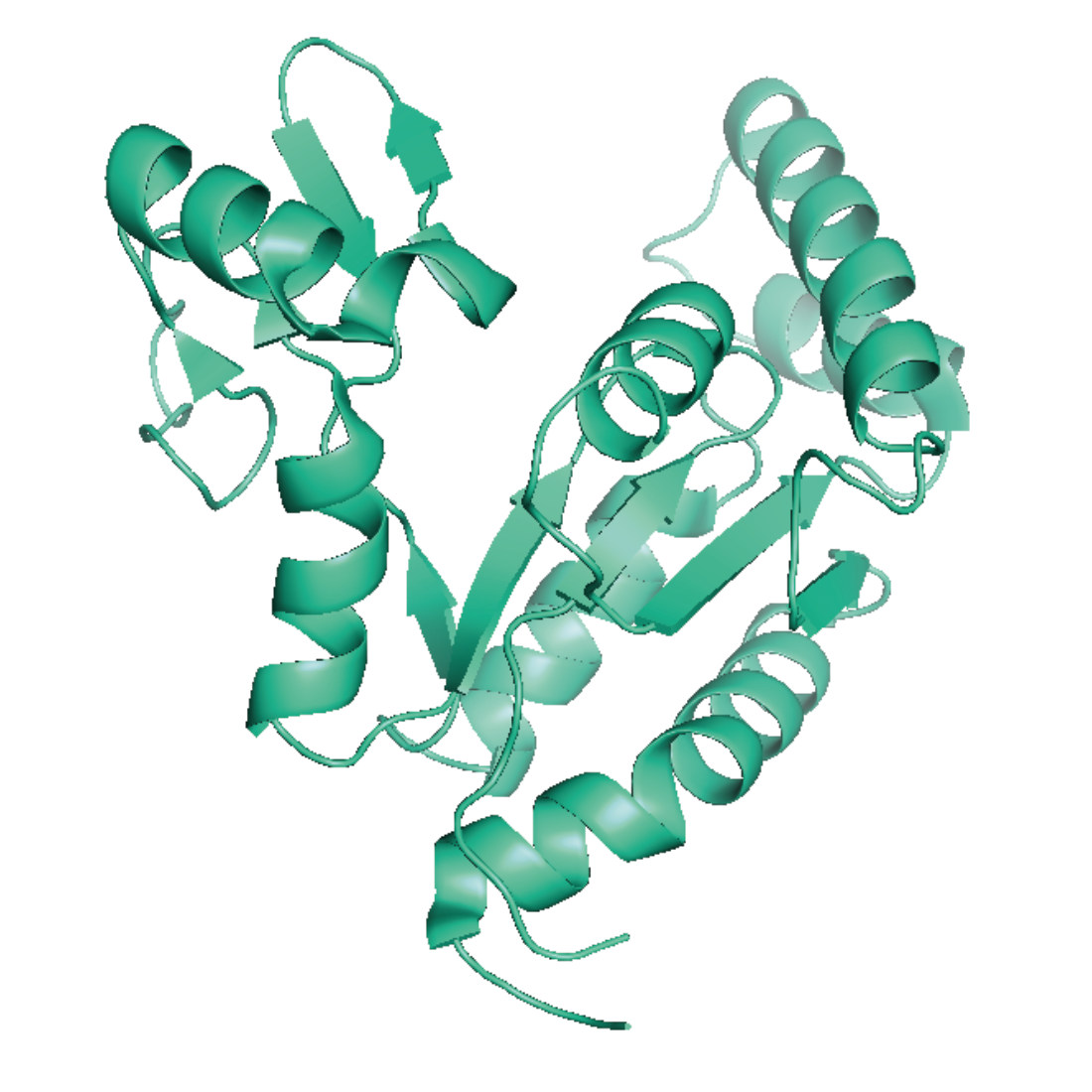 Structural model of hGuanylatkinase, His-Tag