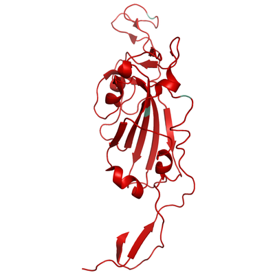 Structural model of SARS-CoV-2 S1 (RBD) Mu B.1.621 (Columbia), GFP/His-Tag